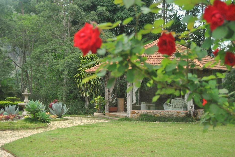 Pousada Quinta Dos Passaros Itaipava Εξωτερικό φωτογραφία